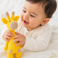 Ziggy Giraffe